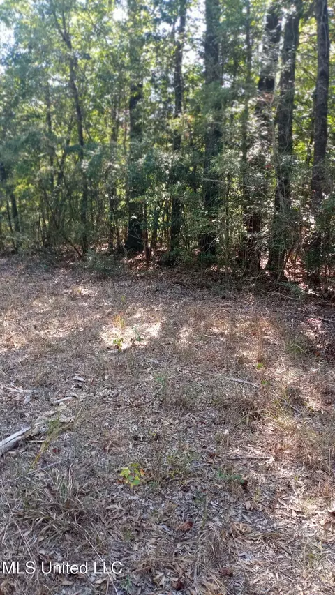 Mount Rose Circle, Mclain, MS 39456 photo 5