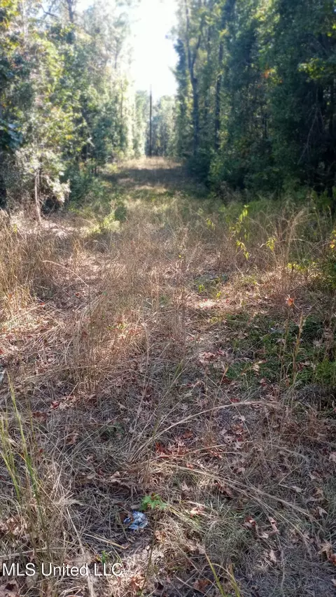Mount Rose Circle, Mclain, MS 39456 photo 3