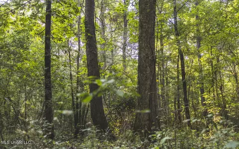 Vaughn Road, Benton, MS 39039 photo 34