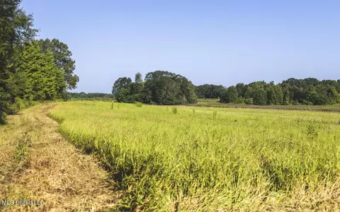 Vaughn Road, Benton, MS 39039 photo 31