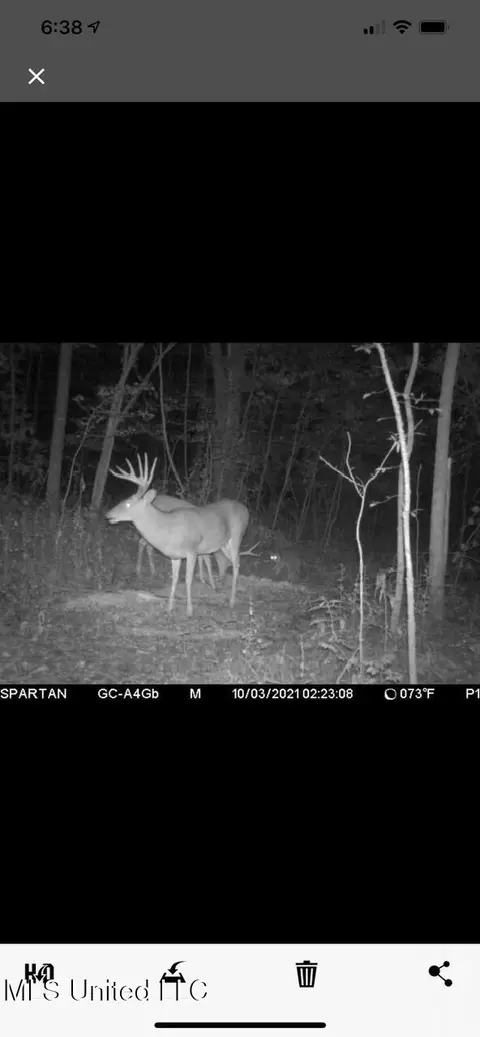 Vaughn Road, Benton, MS 39039 photo 47