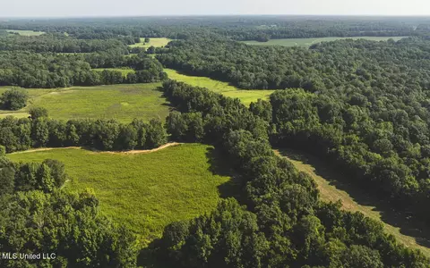 Vaughn Road, Benton, MS 39039 photo 4