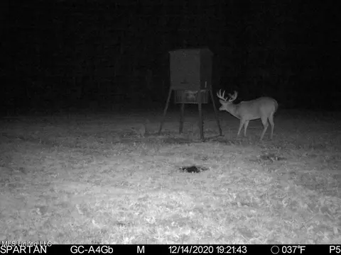 Vaughn Road, Benton, MS 39039 photo 45