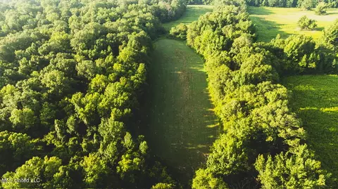 Vaughn Road, Benton, MS 39039 photo 7
