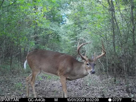 Vaughn Road, Benton, MS 39039 photo 44
