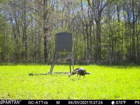 Vaughn Road, Benton, MS 39039 photo 48