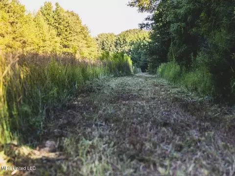 Vaughn Road, Benton, MS 39039 photo 29