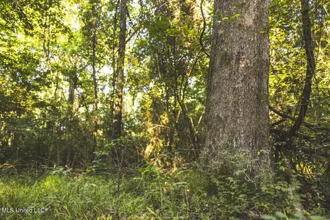 Vaughn Road, Benton, MS 39039 photo 33
