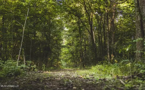 Vaughn Road, Benton, MS 39039 photo 35