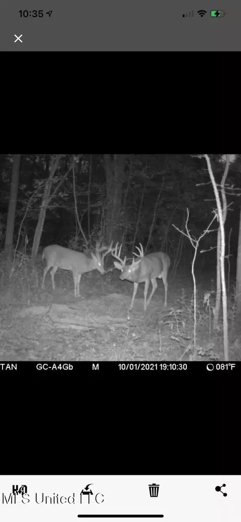 Vaughn Road, Benton, MS 39039 photo 46