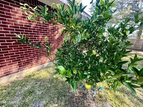 Other - 9430 Dunn Rd, Moss Point, MS 39562 photo 11 of 17