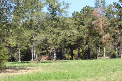 1 28 Acres Tanner Williams Rd, Lucedale, MS 39452 photo 5