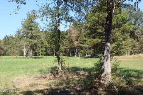 1 28 Acres Tanner Williams Rd, Lucedale, MS 39452