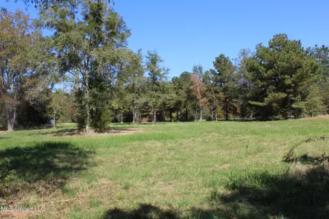 1 28 Acres Tanner Williams Rd, Lucedale, MS 39452 photo 4