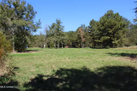 1 28 Acres Tanner Williams Rd, Lucedale, MS 39452 photo 3