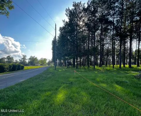 Parcel 1 Gordon Road, Lucedale, MS 39452