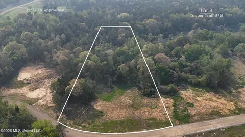 3 Tyro Branch Cv, Senatobia, MS 38668