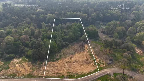 5 Tyro Branch Cv, Senatobia, MS 38668