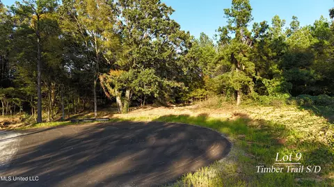 9 Tyro Branch Cv, Senatobia, MS 38668