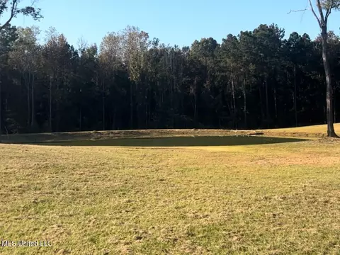 199 Alliston Farm Rd, Florence, MS 39073 photo 3