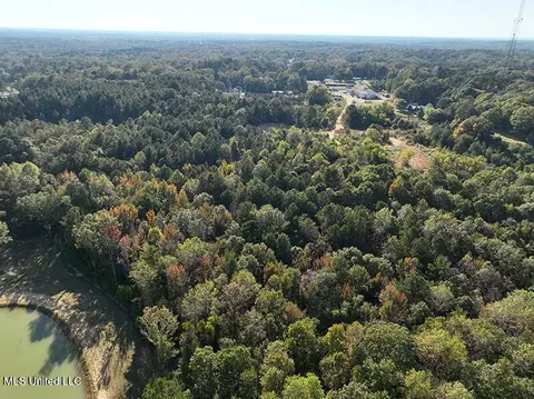199 Alliston Farm Rd, Florence, MS 39073 photo 6