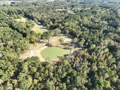 199 Alliston Farm Rd, Florence, MS 39073 photo 21