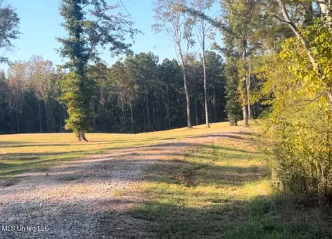 199 Alliston Farm Rd, Florence, MS 39073 photo 2