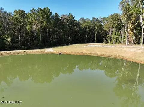 199 Alliston Farm Rd, Florence, MS 39073 photo 13