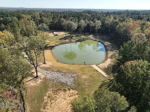 199 Alliston Farm Rd, Florence, MS 39073