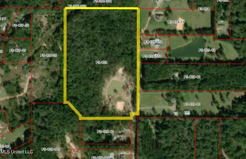 199 Alliston Farm Rd, Florence, MS 39073 photo 24