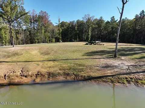 199 Alliston Farm Rd, Florence, MS 39073 photo 17