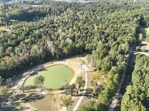 199 Alliston Farm Rd, Florence, MS 39073 photo 22