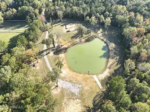 199 Alliston Farm Rd, Florence, MS 39073 photo 5