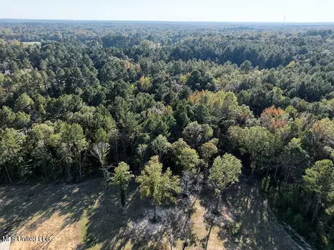 199 Alliston Farm Rd, Florence, MS 39073 photo 10