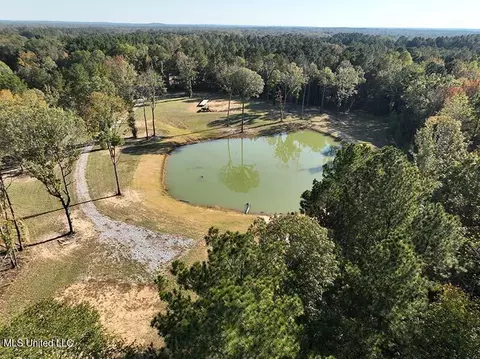 199 Alliston Farm Rd, Florence, MS 39073 photo 8