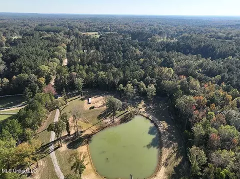 199 Alliston Farm Rd, Florence, MS 39073 photo 7
