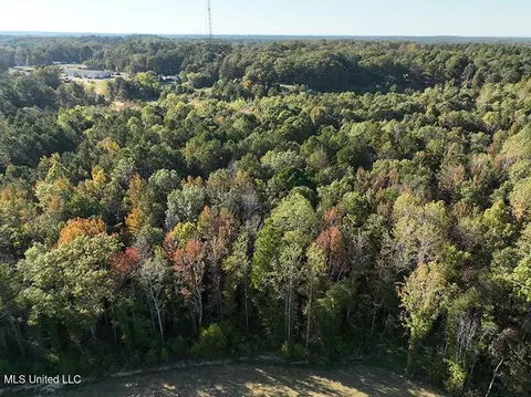 199 Alliston Farm Rd, Florence, MS 39073 photo 9