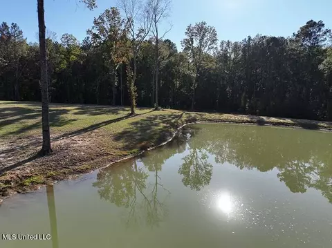 199 Alliston Farm Rd, Florence, MS 39073 photo 16