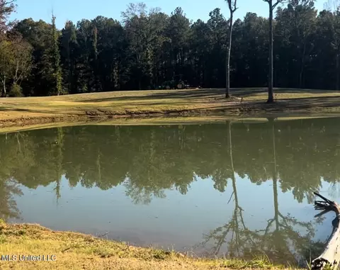 199 Alliston Farm Rd, Florence, MS 39073 photo 15