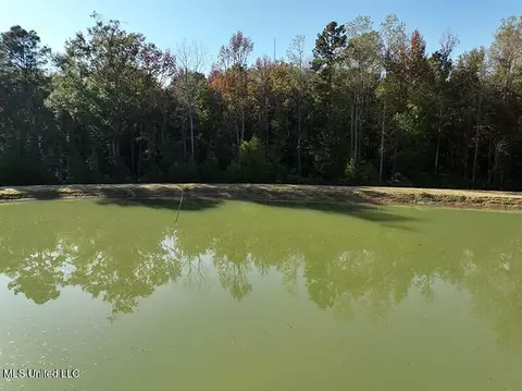 199 Alliston Farm Rd, Florence, MS 39073 photo 14