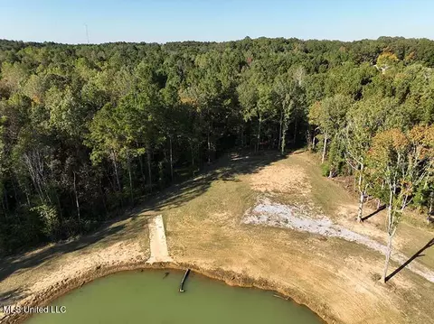 199 Alliston Farm Rd, Florence, MS 39073 photo 12