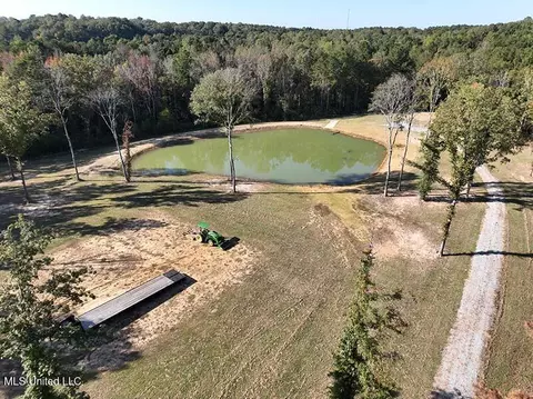199 Alliston Farm Rd, Florence, MS 39073 photo 23