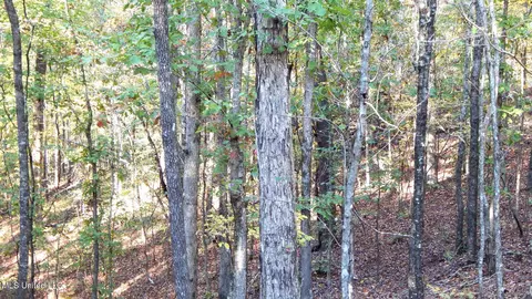 40 Ac 154 Country Rd, Coffeeville, MS 38922
