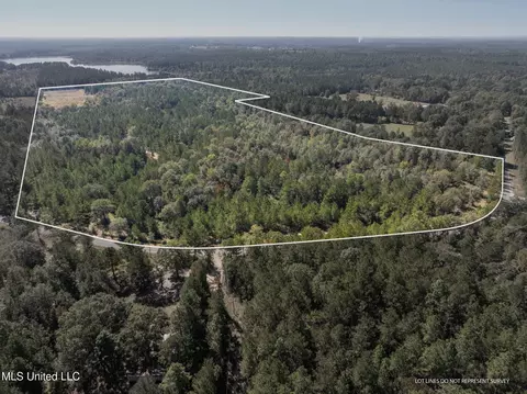 91 Acres Burge Reyer, Poplarville, MS 39470