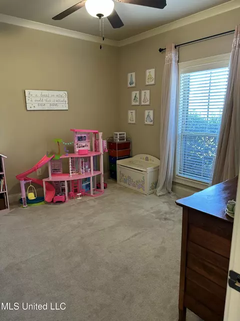 123 Carmichael Blvd, Madison, MS 39110 photo 25