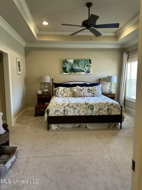 123 Carmichael Blvd, Madison, MS 39110 photo 17