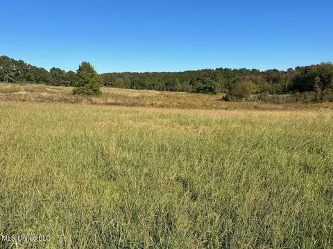 00 County Road 347, Union, MS 39365 photo 6