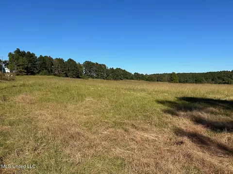 00 County Road 347, Union, MS 39365 photo 8