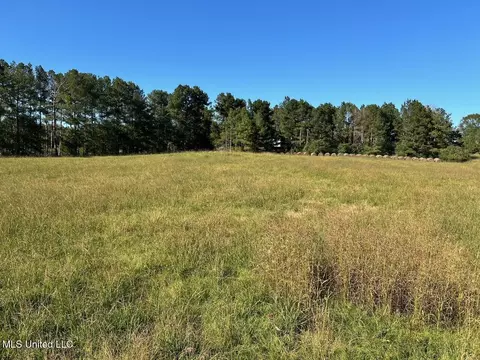 00 County Road 347, Union, MS 39365