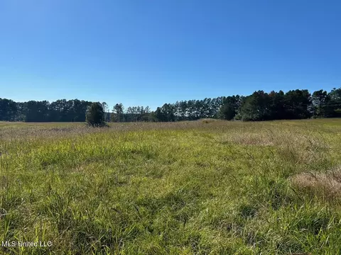 00 County Road 347, Union, MS 39365 photo 2